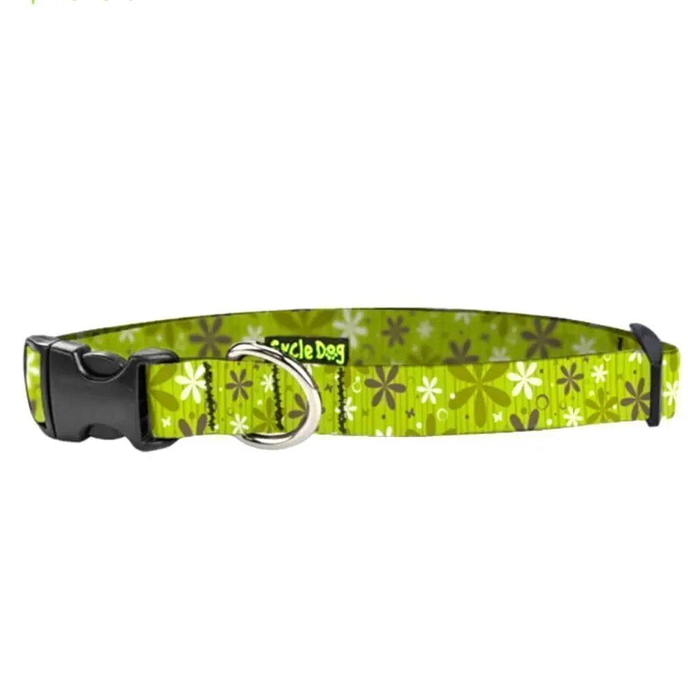 Earth Friendly Recyclable Collar Cycle Dog